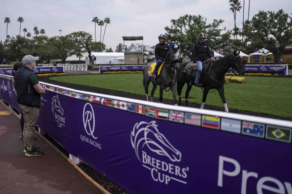 Arcangelo, center, with trainer Jena Antonucci, right, cools down after a morning workout ahead of the Breeders' Cup horse races at Santa Anita Park in Arcadia, Calif., Friday, Oct. 27, 2023. (AP Photo/Jae C. Hong)