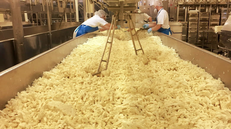 Canadian cheese curd factory workers