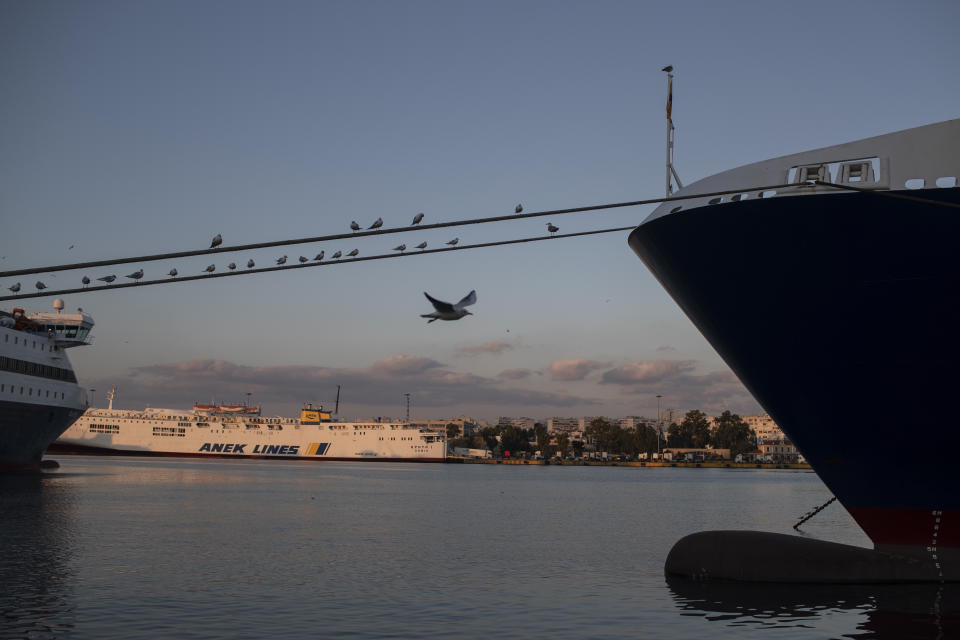 A seagull flies as other stand on the rope of a docked ferry at the port of Piraeus, near Athens during a 24-hour strike on Thursday, Nov. 26, 2020. Ferries to the islands were halted and the Athens metro system and tram were shut for Thursday's strike, although buses continued to run in the capital. (AP Photo/Petros Giannakouris)