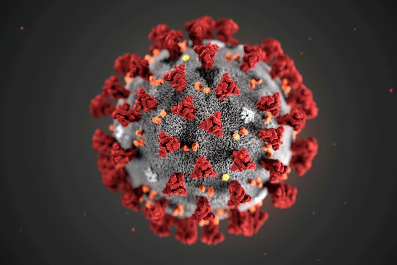 FILE PHOTO: An illustration, created at the Centers for Disease Control and Prevention (CDC), depicts the 2019 Novel Coronavirus