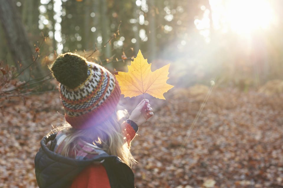 Das Wetter bleibt mild. Nach dem Oktober droht auch der November, viel zu warm zu werden. (Symbolbild: Getty Images)