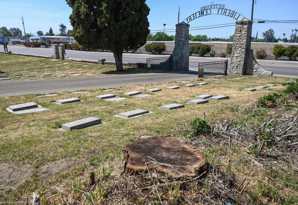The stump of a fallen tree stands near the Belmont Avenue entrance to the Veterans Liberty Cemetery in Fresno on Friday, April 28, 2023.