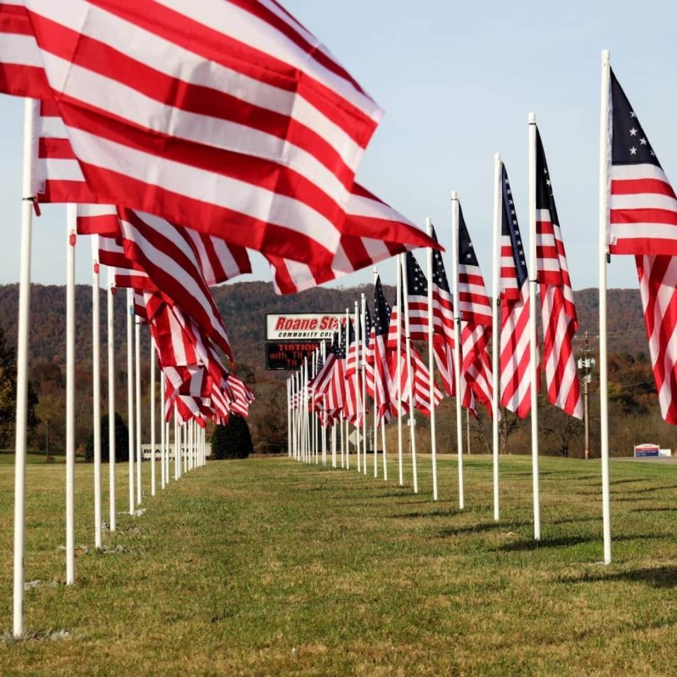 Roane State Community College and its Office of Veterans Services launched a collaborative project last year called "The Veteran Wave." As part of this effort, sponsored American flags are periodically on display at RSCC campuses across our area, each one representing a veteran.