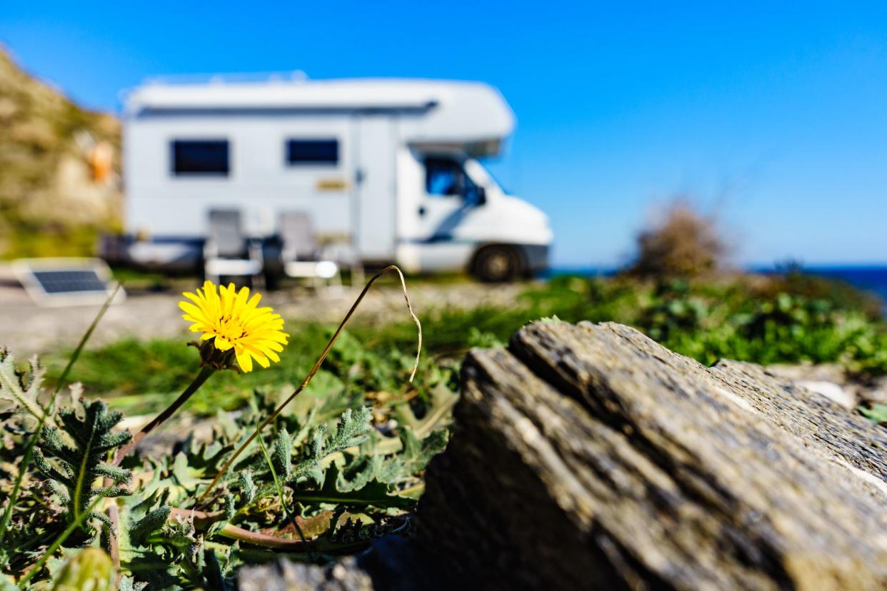 Yellow spring dandelion flower and camper vehicle camping on sea shore in the distance. Caravan vacation. Andalusia Spain.