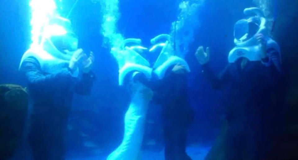 Given her near miss with a deadly jellyfish, Lauren Dongray was shocked her fiancé organised an underwater wedding. (Supplied)