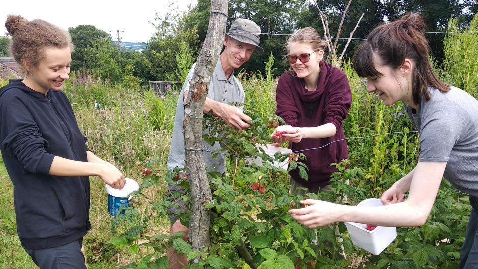 L’agriculture est un business de taille en Nouvelle-Zélande et les fermes biologiques sont de plus en plus nombreuses. <a href="https://wwoof.nz/" rel="nofollow noopener" target="_blank" data-ylk="slk:WWOOF;elm:context_link;itc:0;sec:content-canvas" class="link ">WWOOF</a> (We're Welcome On Organic Farms) facilite le contact entre les fermes et les volontaires. Le travail n’est pas rémunéré, mais vous êtes nourri et logé, et vous avez l’opportunité d’en apprendre davantage sur la culture biologique, à condition de travailler jusqu’à 6 heures par jour quand même. Les tâches peuvent varier et inclure le travail manuel, le jardinage, la récolte et la préparation de vin, de fromage et de pain. Les vols ne sont pas inclus, et la durée des séjour dépend des exigences des hôtes. Envie d’une expérience similaire, mais pas forcément à l’autre bout du monde ? <a href="https://wwoof.org.uk/" rel="nofollow noopener" target="_blank" data-ylk="slk:WWOOF UK;elm:context_link;itc:0;sec:content-canvas" class="link ">WWOOF UK</a> propose de belles opportunités de la Cornouailles à la Tamise de l’autre côté de la Manche.