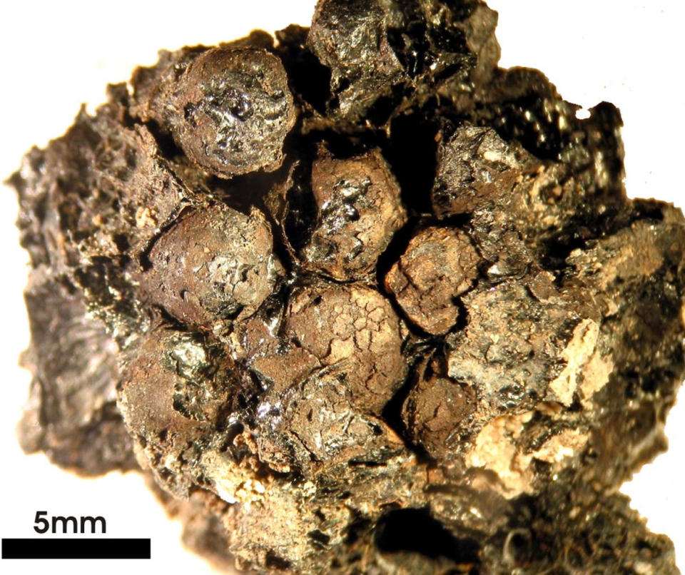 One of the honeycomb fragments found at the Etruscan workshop showed clearly the structure's hexagonal, thin-walled cells. <cite>Lorenzo Castellano</cite>