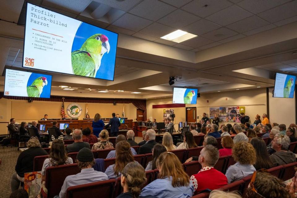 In a packed Elk Grove council chamber, locals listen to plans for the relocation of the Sacramento Zoo to Elk Grove on Wednesday.