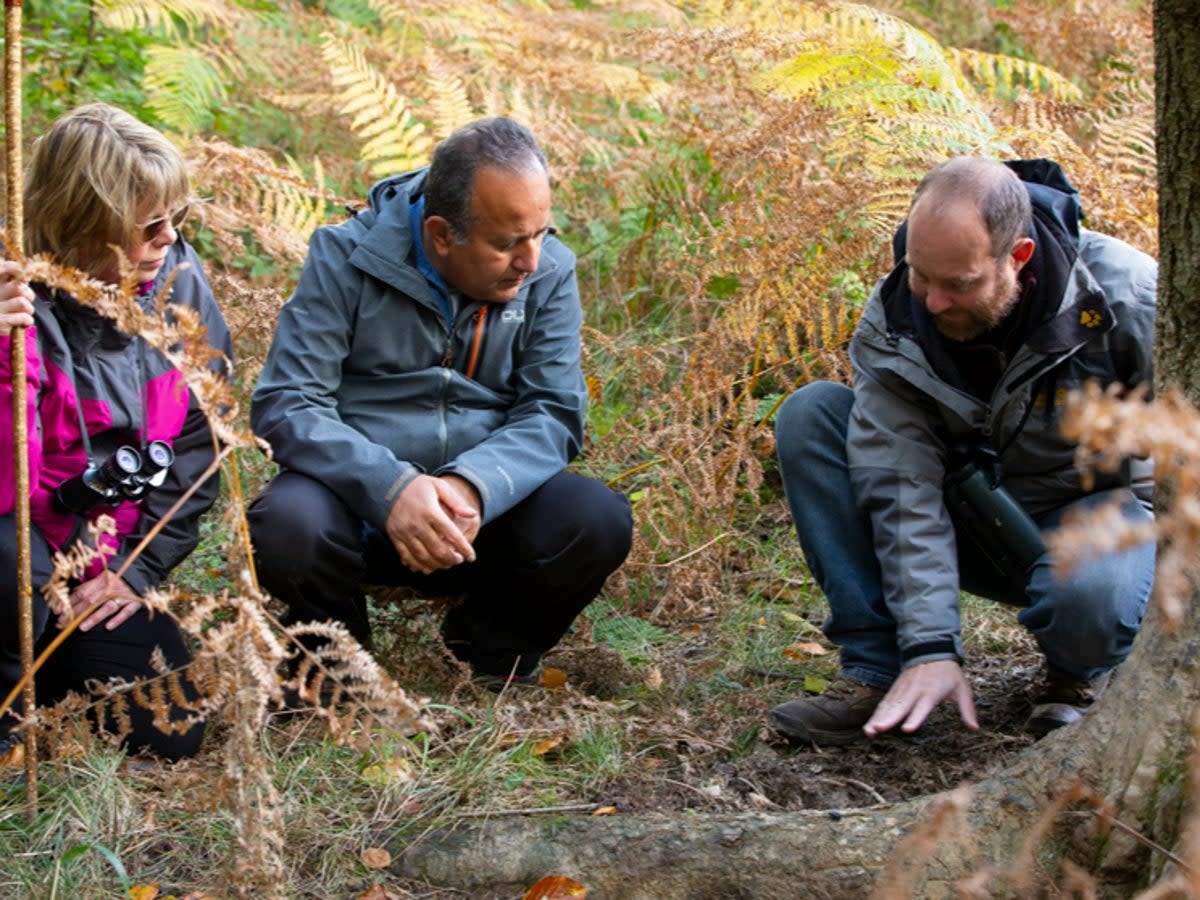 Ed Drewitt shows guests how to spot signs of (wild)life in the Forest of Dean (Tracey Rich)