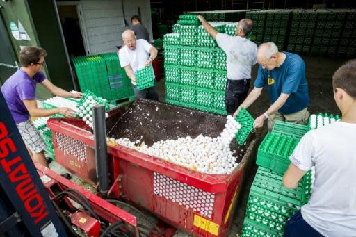 Belgium accuses Netherlands of tainted eggs cover-up
