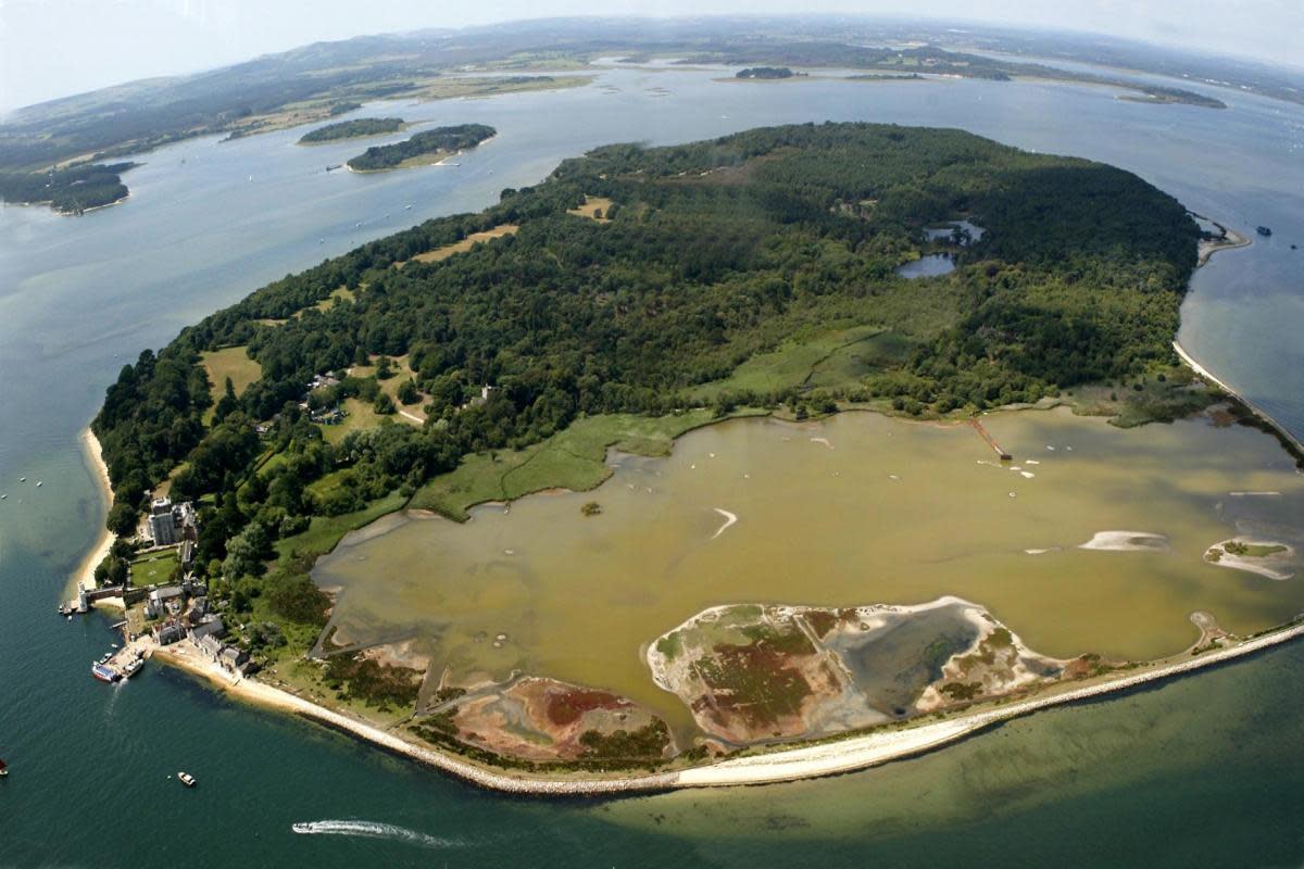 Brownsea Island