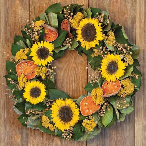 <p><strong>Olive and Cocoa</strong></p><p>oliveandcocoa.com</p><p><strong>$158.00</strong></p><p><a href="https://www.oliveandcocoa.com/product/preserved-sunflower-wreath/wreaths" rel="nofollow noopener" target="_blank" data-ylk="slk:Shop Now;elm:context_link;itc:0;sec:content-canvas" class="link ">Shop Now</a></p><p>Adorned with cheerful preserved sunflowers, this wreath from Olive and Cocoa makes for a gorgeous transition from summer to the fall season.</p>