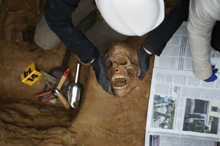 A member of the Association for the Recovery of Historical Memory (ARHM) holds a human skull during the exhumation of the grave in Guadalajara's cemetery, Spain, January 28, 2016. REUTERS/Juan Medina