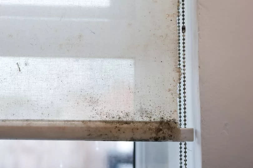 The mould in one single mother's house in north Manchester -Credit:Manchester Evening News