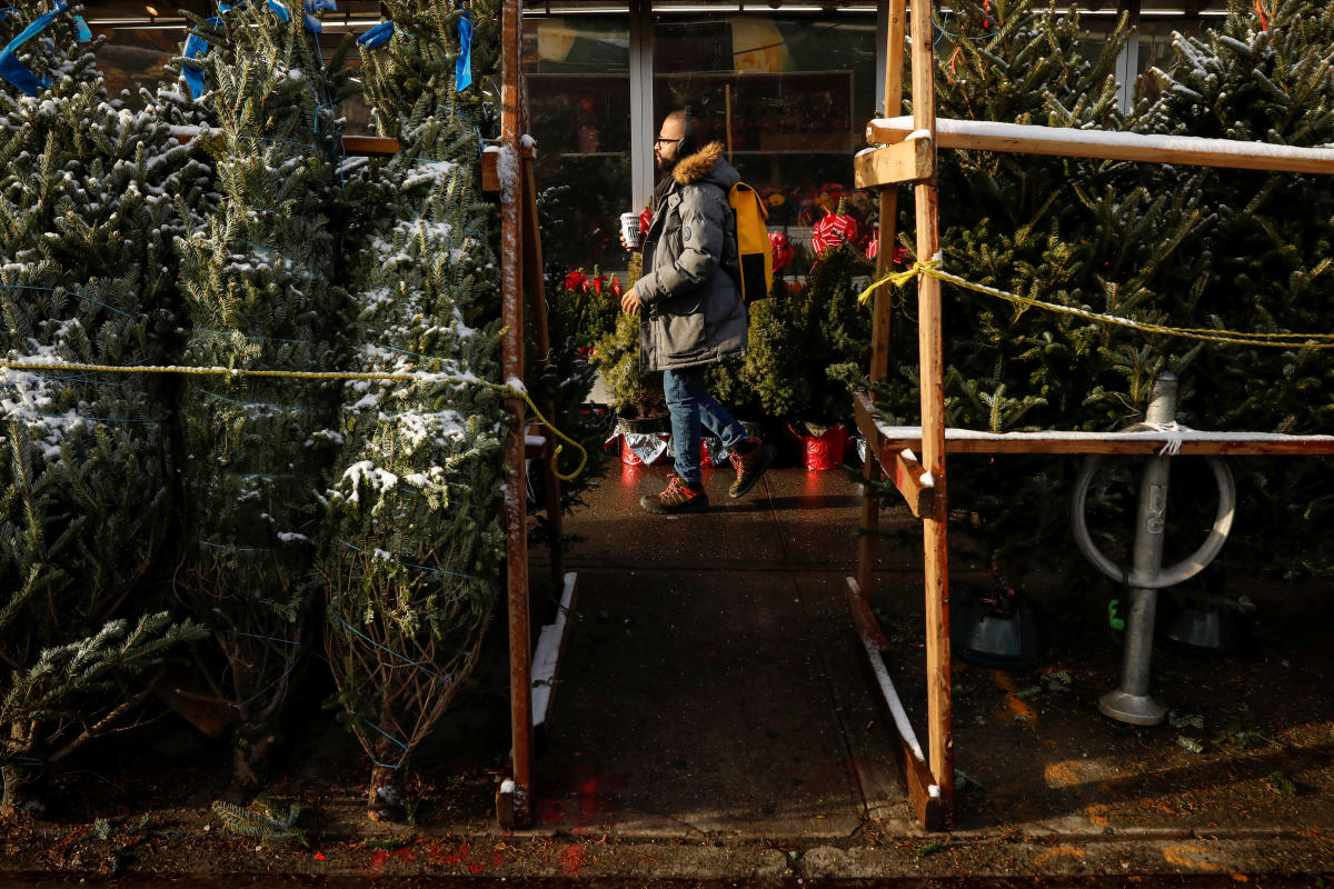 Price of Christmas trees is up nearly 50 since 2014 [Video]