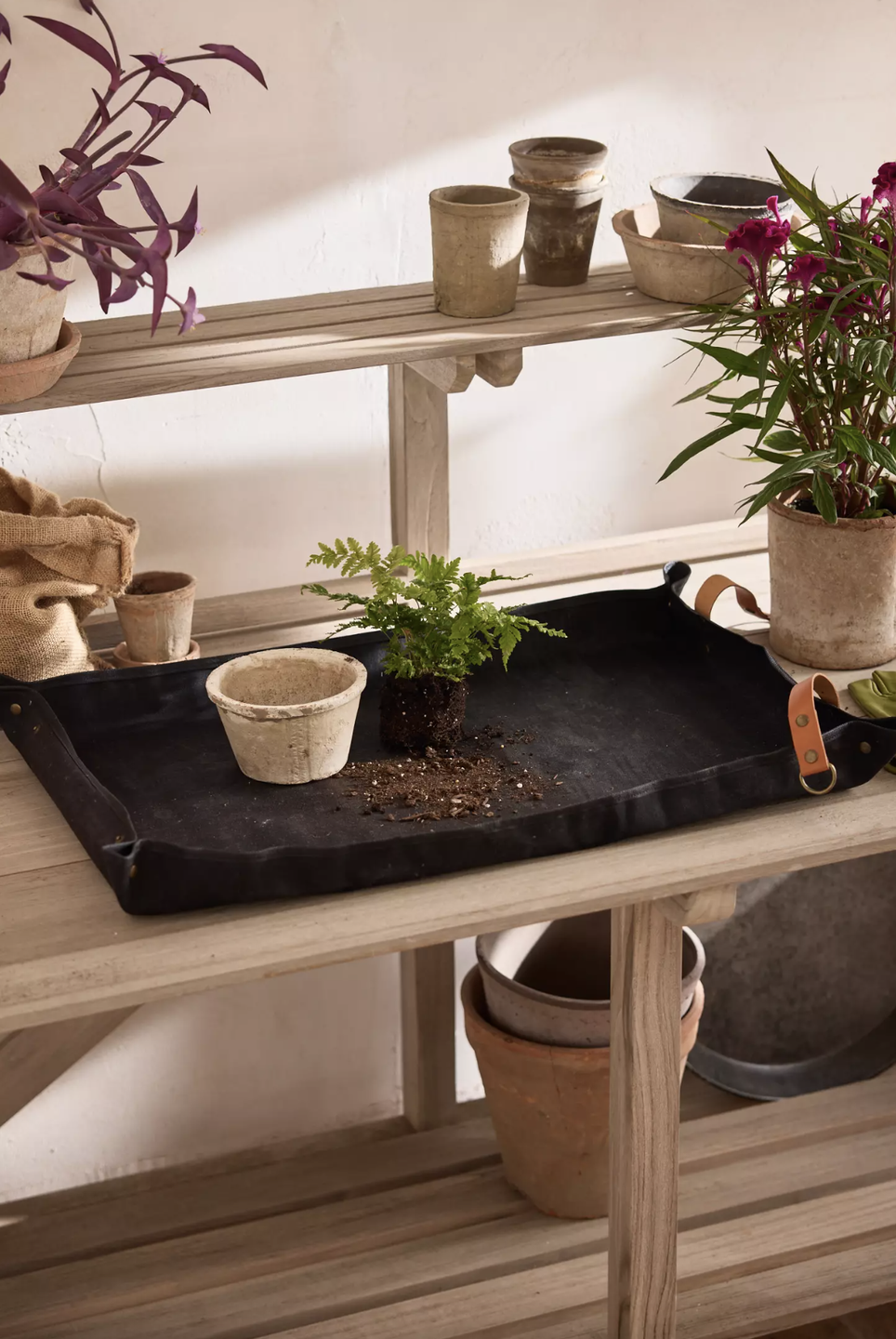 a table with potted plants