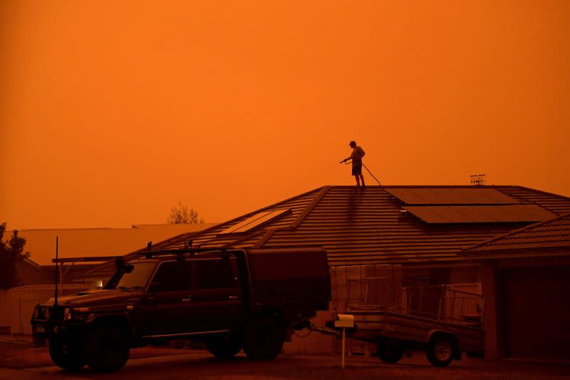 Bushfires in Nowra, New South Wales