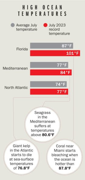 <span class="copyright">Sources: NOAA, Climate change Institute at the University of Maine, National Data Buoy Center, Mediterranean Heat Waves Monitoring Service, the Kelp Rescue Initiative, and studies published in the Regional Studies in Marine Science, Environmental Pollution, Nature. Credit: Rich Morgan</span>