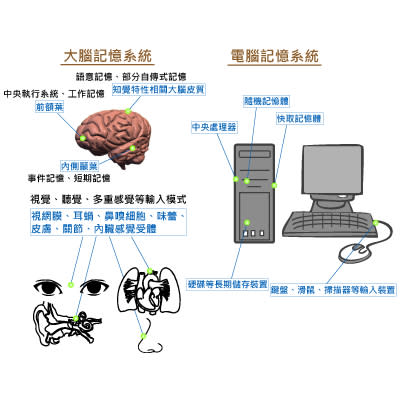 是忘記了，還是沒有辦法想起來？