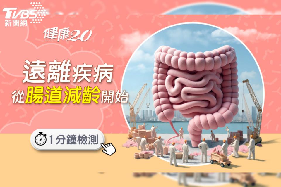 腸「保」全身健康，《健康2.0》祭腸道逆齡策展提抗老攻略。（圖／TVBS提供）