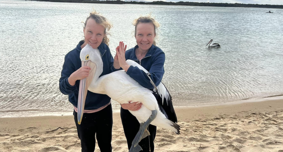  Paula and Bridgette Powers holding a pelican on the beach.