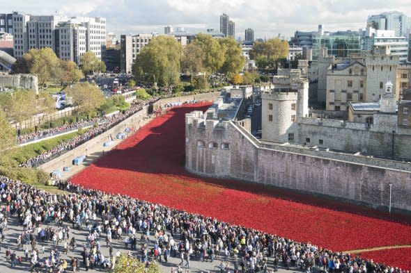 Call for Tower of London poppies WWI exhibition to be extended