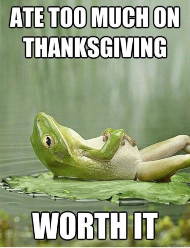 30 Funny Thanksgiving Memes for Everyone at Your Dinner