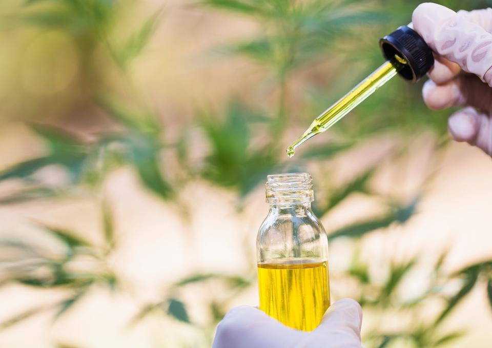 Does CBD Oil Have Health Benefits — and Is It Legal?