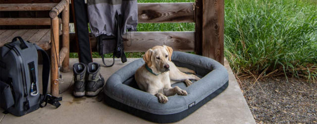 YETI Dog Bed Review [WHY IT'S WORTH YOUR MONEY]