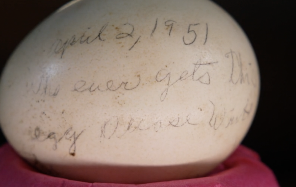 The dated egg included a message asking its finder to write. / Credit: On the Road