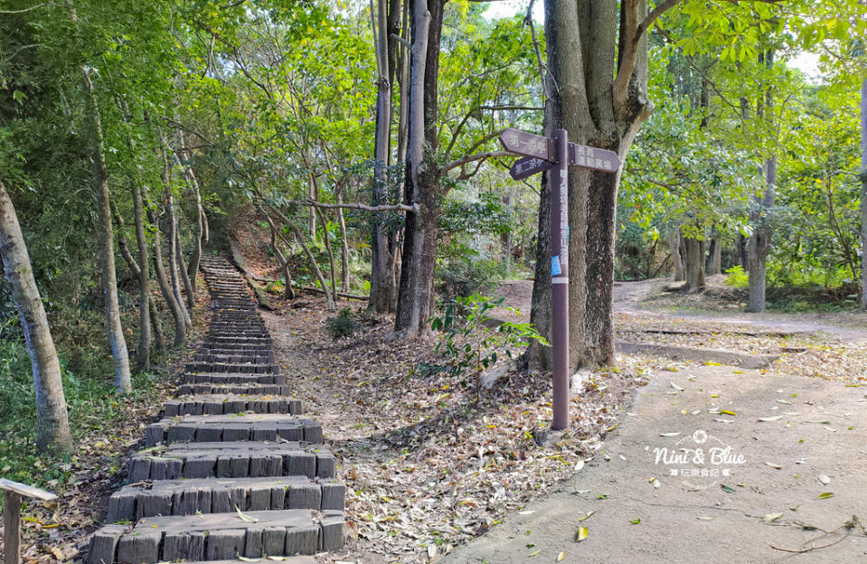 台中太平登山步道｜咬人狗坑生態景觀步道