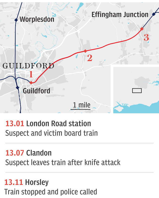 Detectives are hunting a railway knife killer after a 51-year-old man was stabbed to death in front of his teenage son on board a train travelling through a leafy part of Surrey.