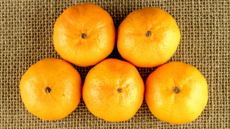 Five whole Hamlin oranges