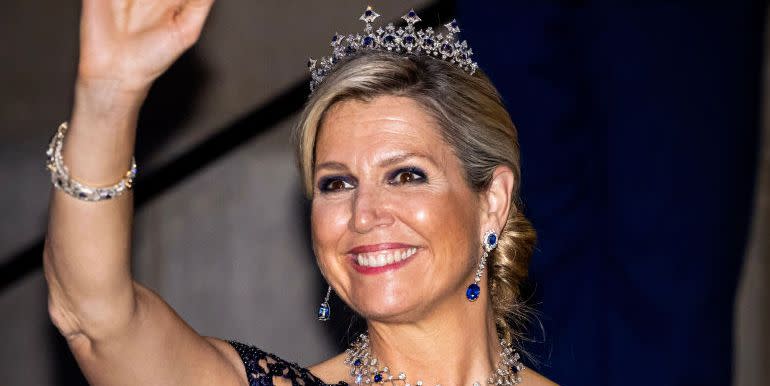 dutch royal family attends the diplomatic corps gala in amsterdam