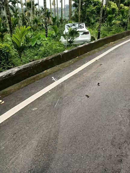 彎速過快衝對向飛越水溝　特斯拉耍帥卡檳榔園