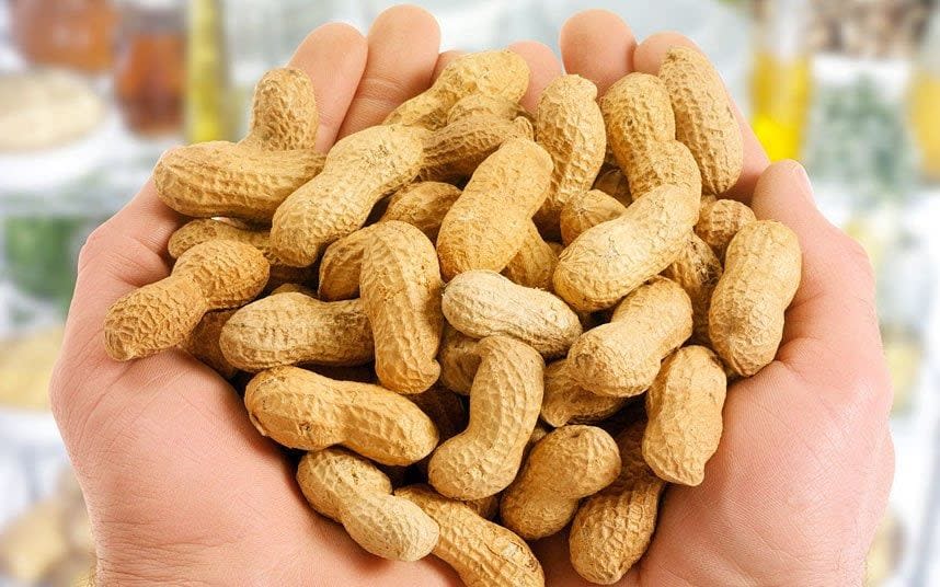 Peanuts in shells