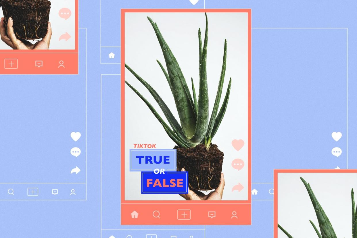 TikTok True or False: Aloe