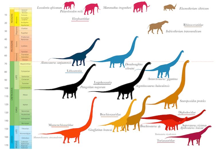 <span class="caption">Giant dinosaurs and mammals through time.</span> <span class="attribution"><span class="source">Nick Longrich</span></span>