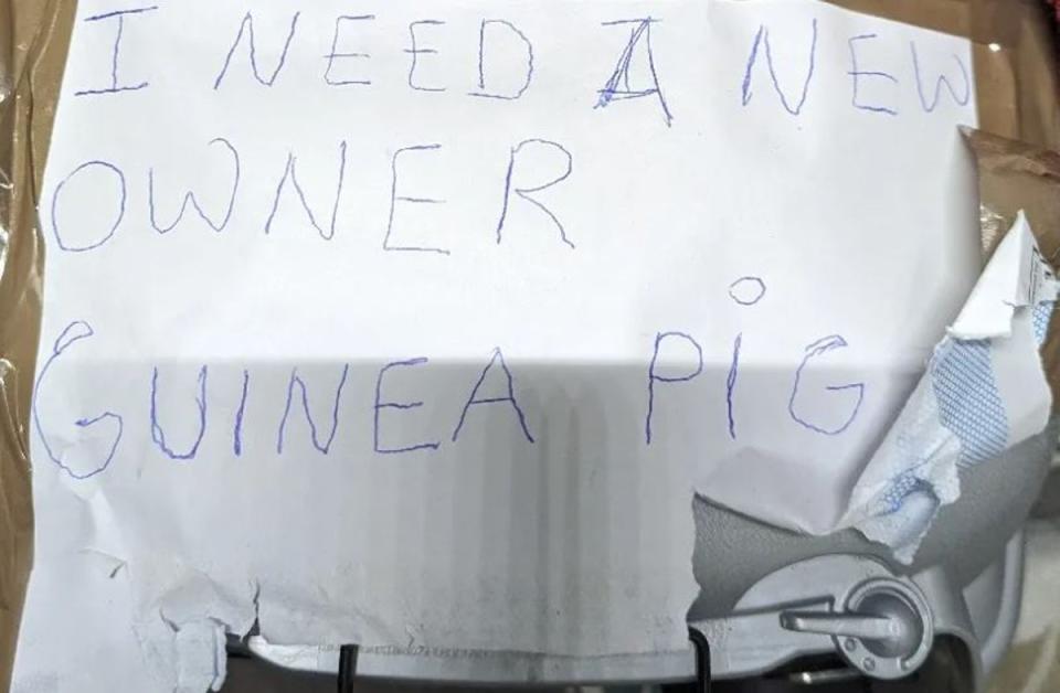 The note found left on the box containing the guinea pig (RSCPA)