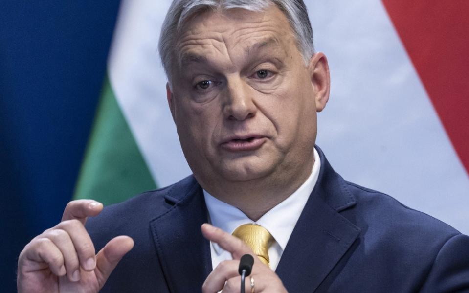 Victor Orban, Hungary's prime minister, said that fertility was of 'strategic importance' - REX