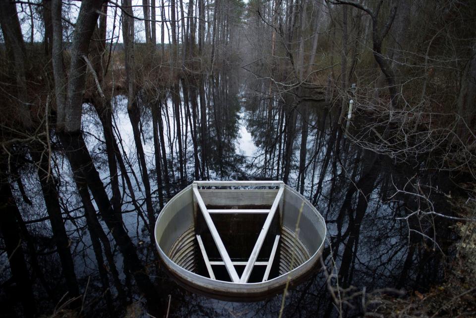 A water control structure in a waterway inside the Great Cypress Swamp.