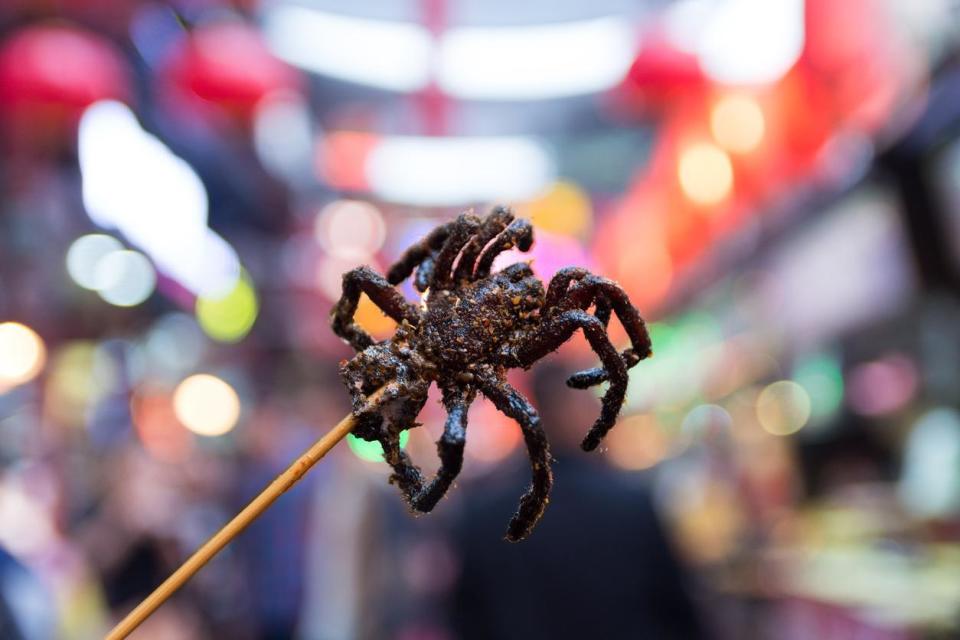 Deep fried spider on stick (istock)