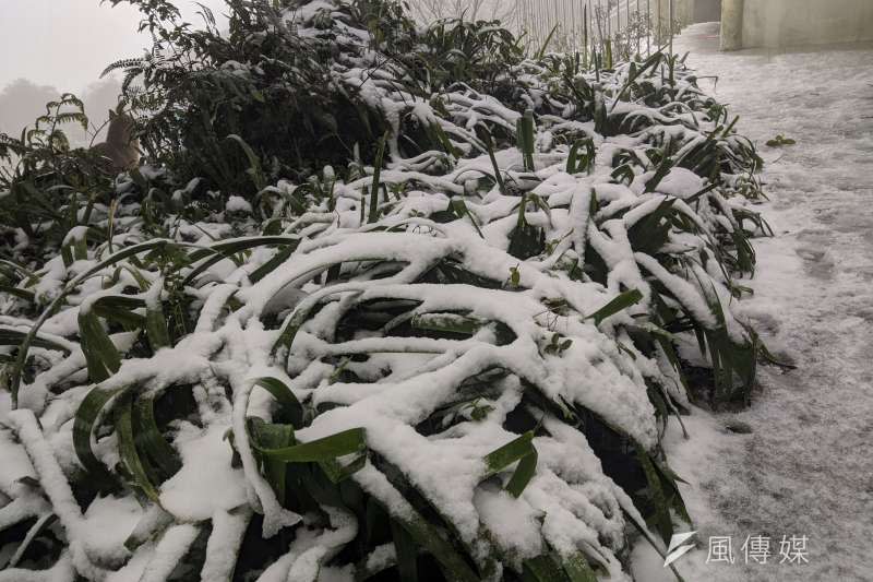 2020年1月8日，七星山下雪了。（洪煜勛攝）