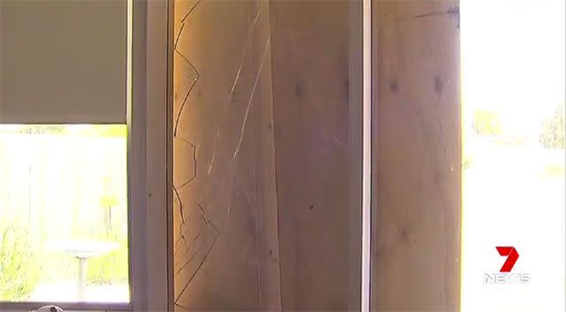 The kangaroo crashed through the couple's bedroom window. Picture: 7 News