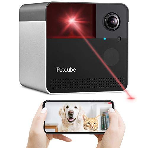 1) Play 2 Wi-Fi Pet Camera