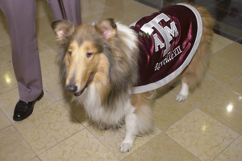 Reveille, the team mascot for Texas A&M University attends the Black Tie and Boots Ball at the Marriot Wardman Park Hotel in Washington D.C., on January 19, 2005. On October 4, 1876, the Agricultural and Mechanical College of Texas, now Texas A&M, opened. It was the first public higher education institution in Texas. File Photo by Arianne Starnes/UPI