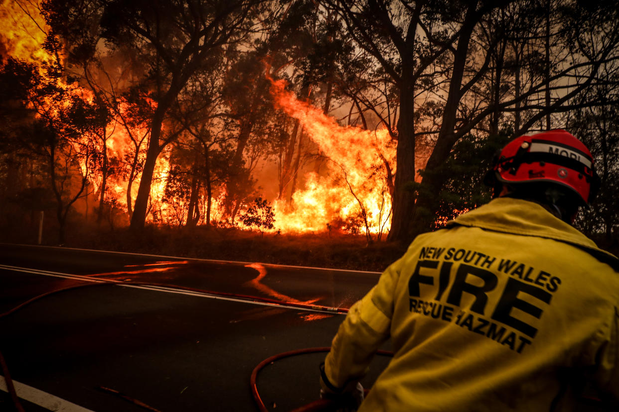 SYDNEY, AUSTRALIA - DECEMBER 19: Fire and Rescue personal run from flames as a bushfire burns trees along a road near homes on the outskirts of the town of Bilpin on December 19, 2019 in Sydney, Australia.   (Photo by David Gray/Getty Images)