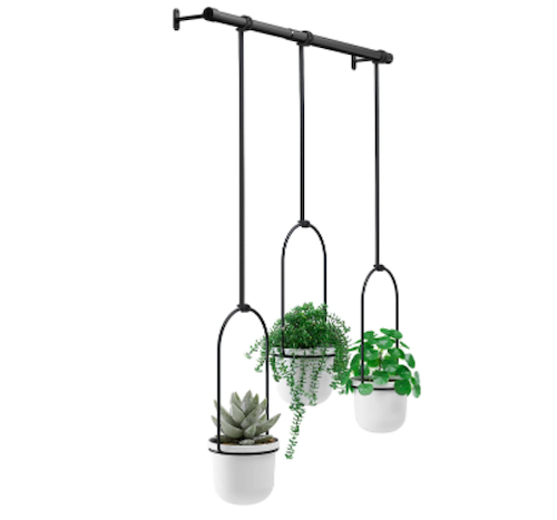 Umbra Triflora Hanging Planter