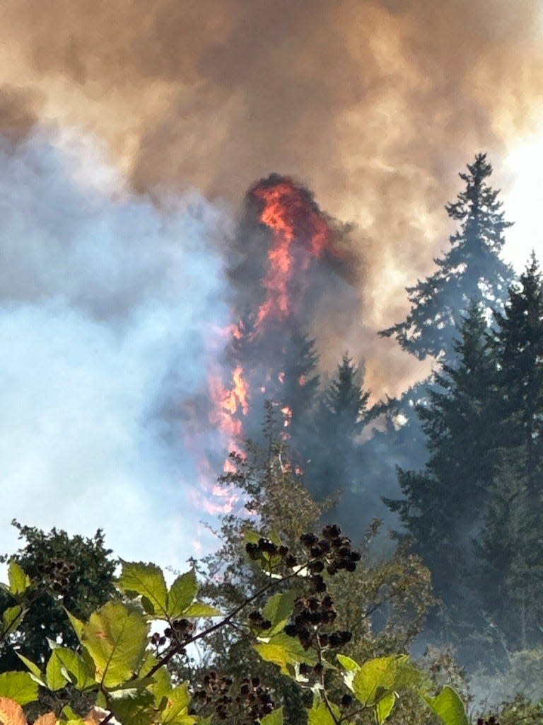 South Salem resident Dustyn Pederson took this image from Mildred Lane S of flames in the tree tops.