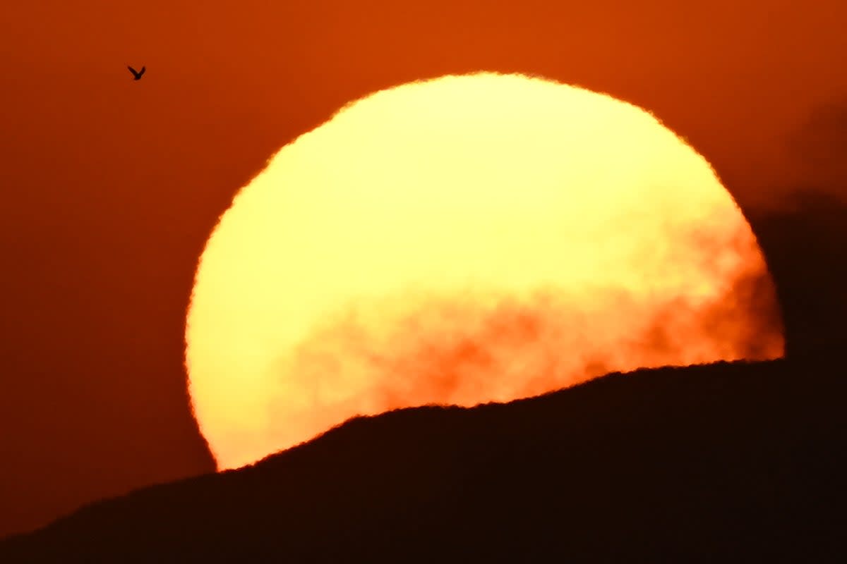  (AFP via Getty Images)